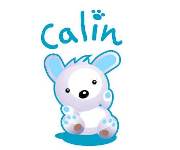 gif calins